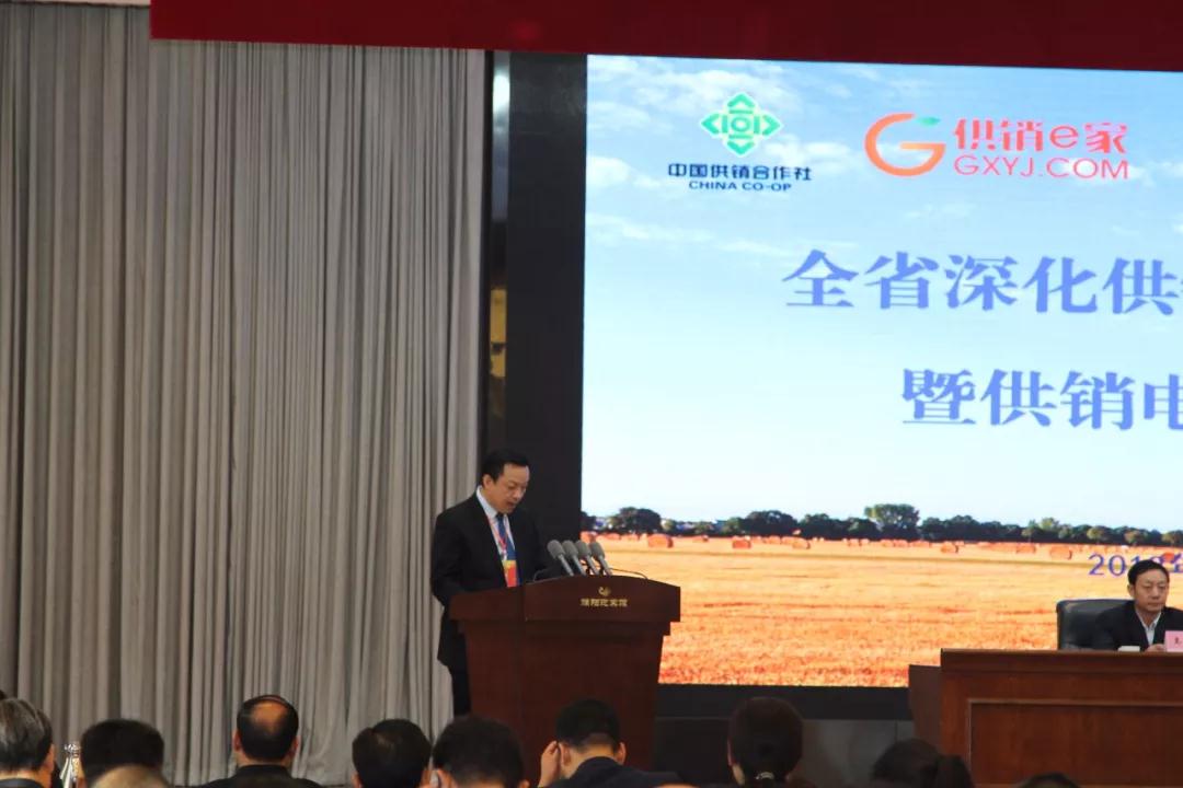 河南省供銷電子商務有限公司