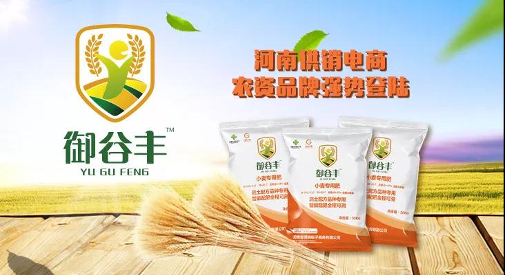 河南省供銷電子商務(wù)有限公司